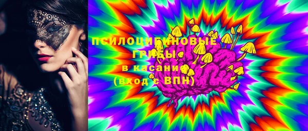 стафф Бронницы